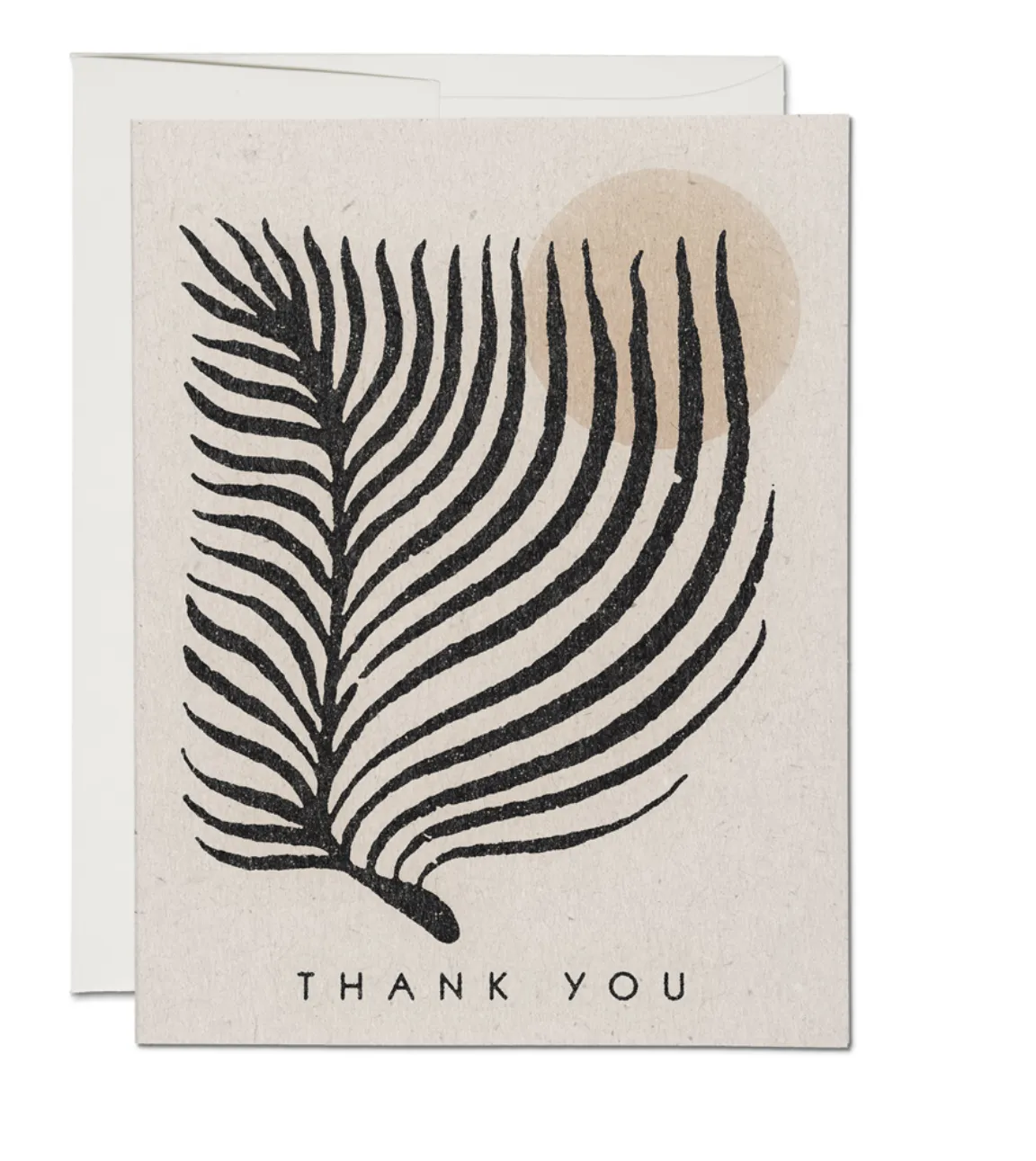 Palm Sun Thank You Notecard